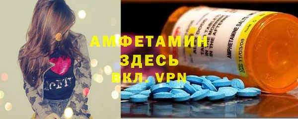 крисы Анжеро-Судженск