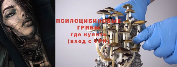 гашик Медвежьегорск