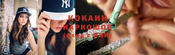 дживик Мегион