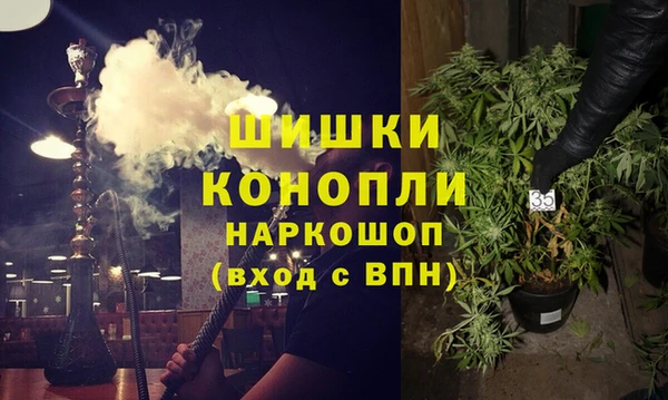 дживик Мегион