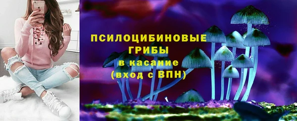 гашик Медвежьегорск