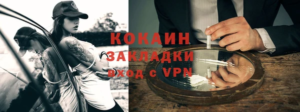 дживик Мегион