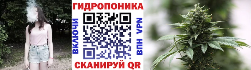 МАРИХУАНА сатива Туран